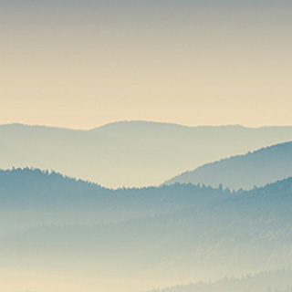 正版软件授权的短信轰炸机网页版在线