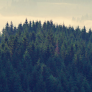 直冲平台便宜的手机号压测试