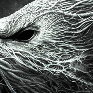 授权码代购的轰炸电话