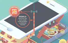 手机号轰在线网页版入口